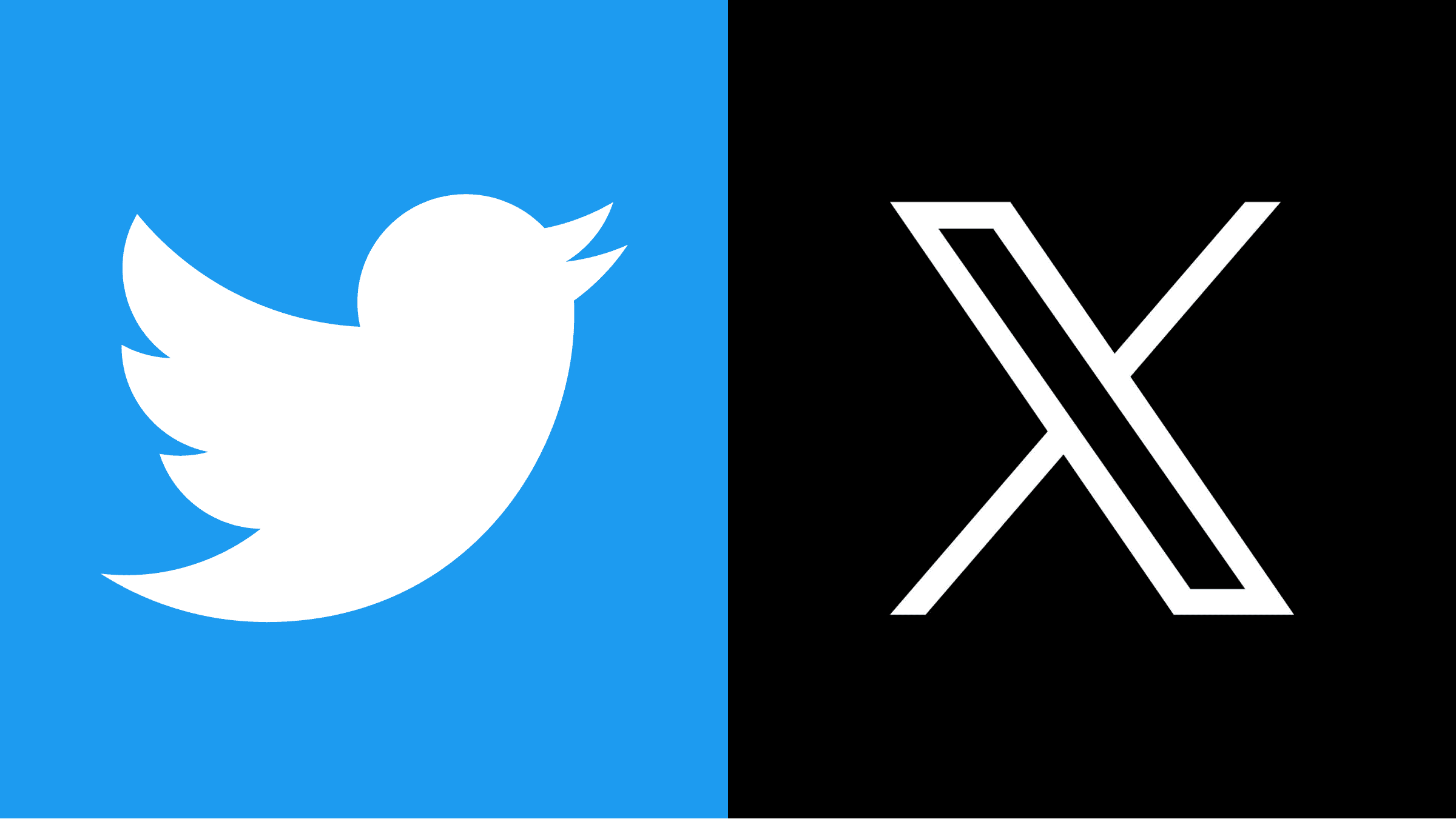 X (Twitter)